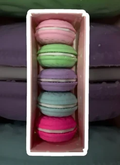 5 Borrachas Macaron Coloridas