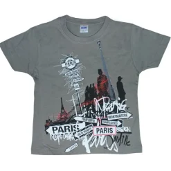 Camiseta cinza paris grafico da cidade