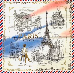 Lenço Paris France la vie en Rose Tricolore