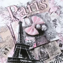 T-shirt branca Paris França "Laço com strass"