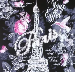 T-shirt Paris Torre Eiffel "A violeta" strass